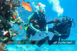 آموزش غواصی در کیش