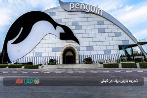 تجربه بارش برف در کیش