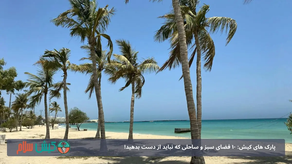 پارک ساحلی درخت نارگیل